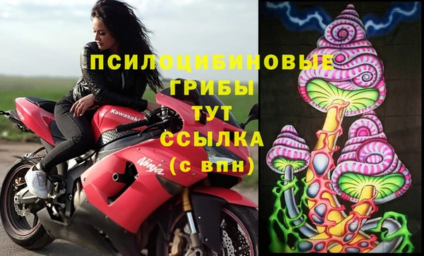 а пвп мука Надым