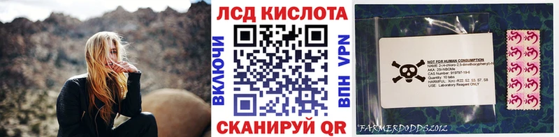 Купить закладки  Минусинск  Марки NBOMe 1500мкг 