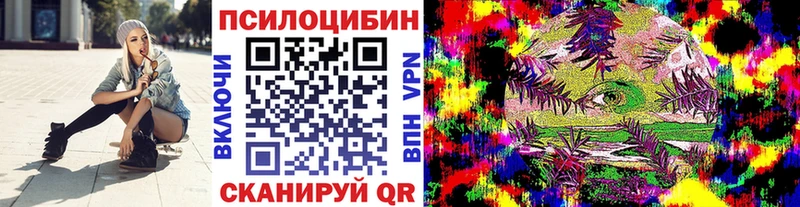 Псилоцибиновые грибы Psilocybine cubensis  Купить где  Минусинск 